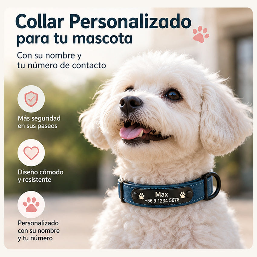 Collar Personalizado para Perros | Nombre y Teléfono - vista 1