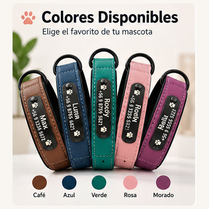 Collar Personalizado para Perros | Nombre y Teléfono