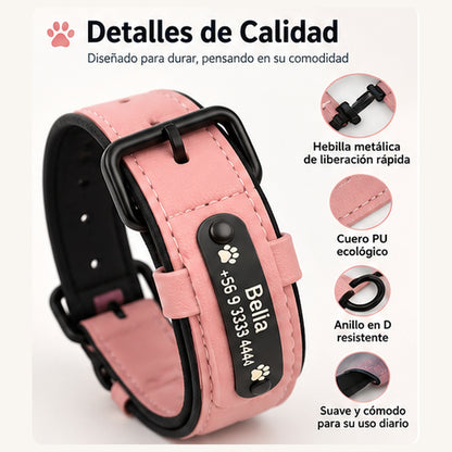 Collar Personalizado para Perros | Nombre y Teléfono