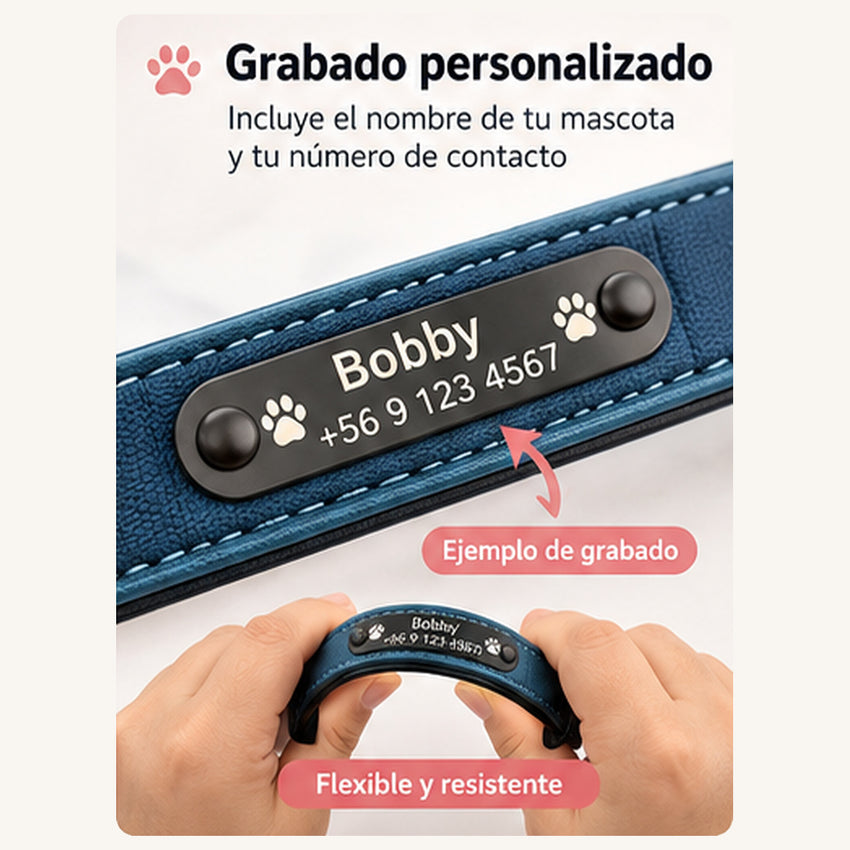 Collar Personalizado para Perros | Nombre y Teléfono - vista 2