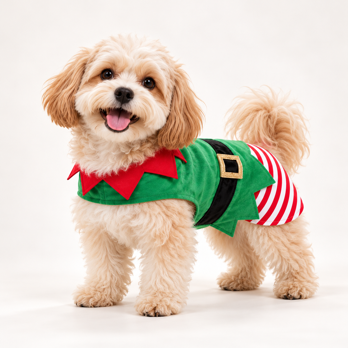 Disfraz de Duende Navideño para Perros y Gatos
