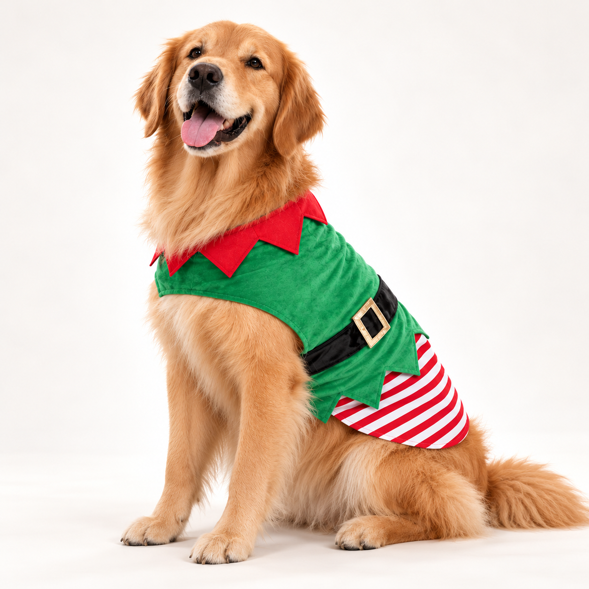 Disfraz de Duende Navideño para Perros y Gatos