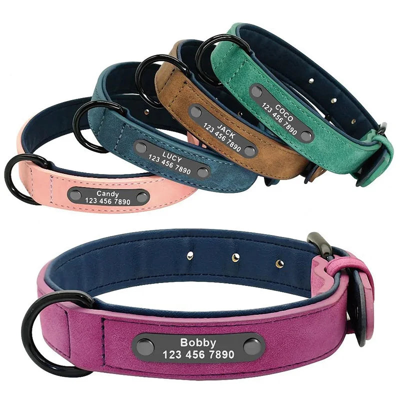Collar Personalizado para Perros | Nombre y Teléfono