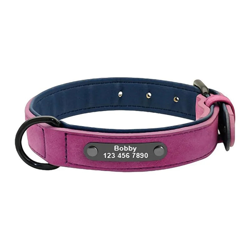 Collar Personalizado para Perros | Nombre y Teléfono