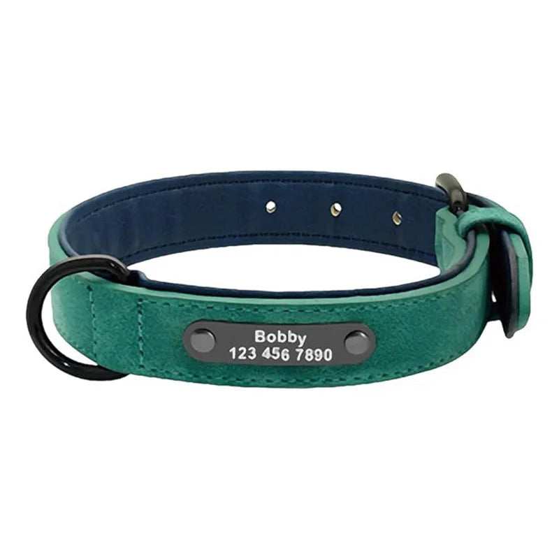 Collar Personalizado para Perros | Nombre y Teléfono
