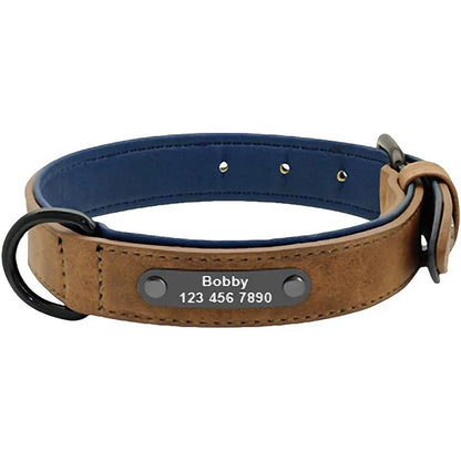 Collar Personalizado para Perros | Nombre y Teléfono