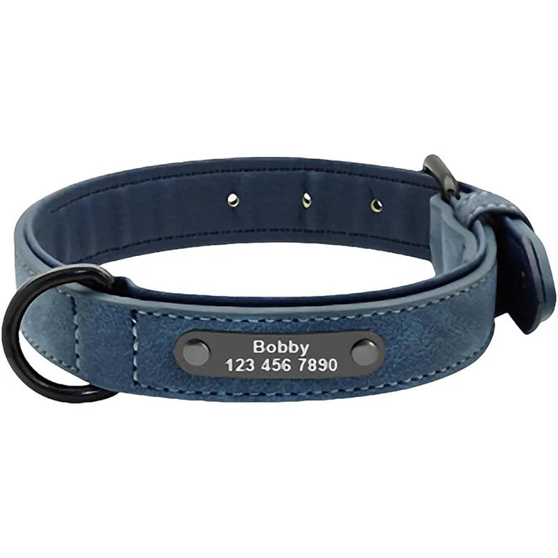 Collar Personalizado para Perros | Nombre y Teléfono