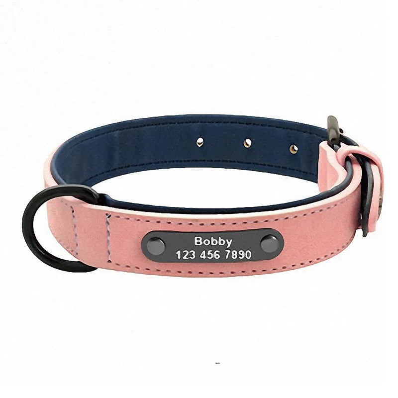 Collar Personalizado para Perros | Nombre y Teléfono